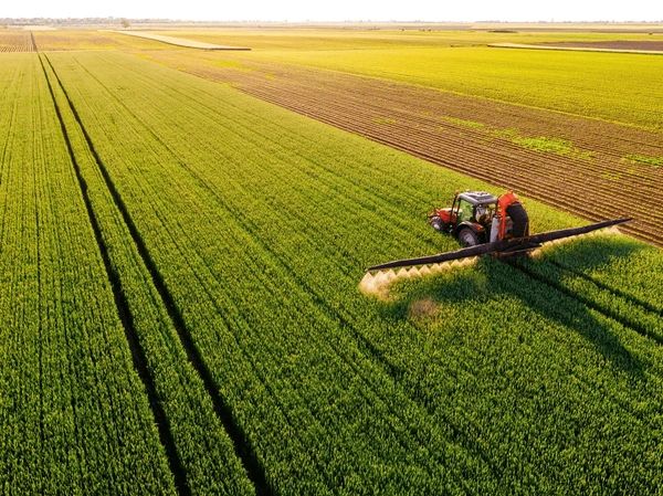 Día Europeo de la agricultura ecológica