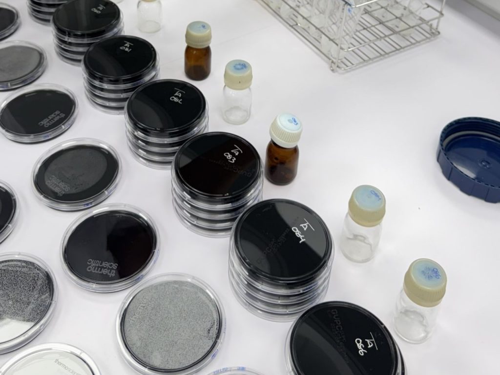 temperatura legionella