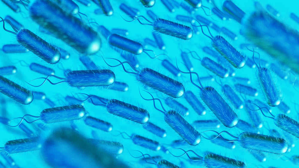 animales contagio legionella