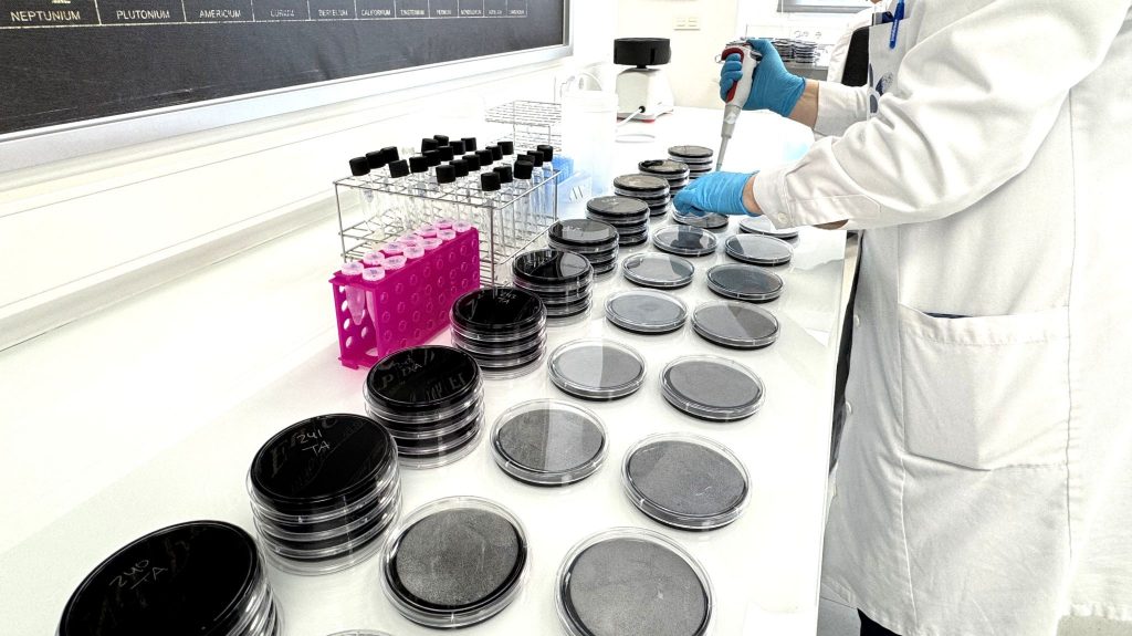 análisis calidad del agua